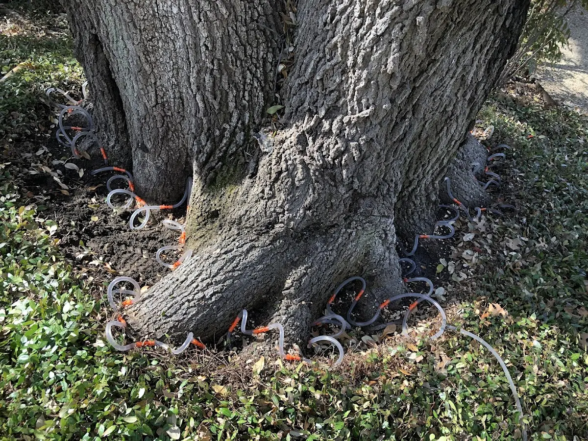 Detailed Shrub and Hedge Trimming job site in Horsham