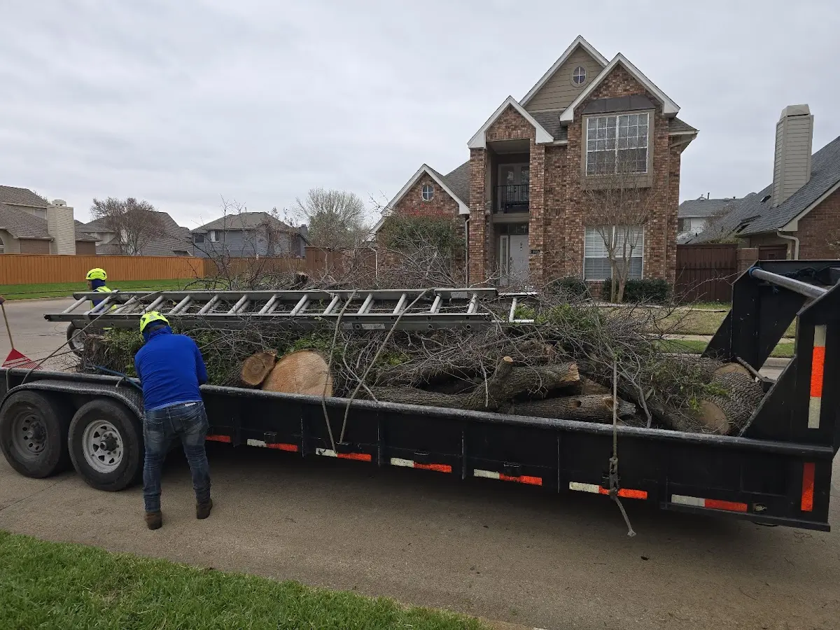 Expert Tree Fertilization with proper safety equipment in Horsham